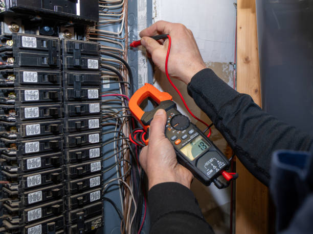 Best Electric Panel Repair  in Bridgeport, AL